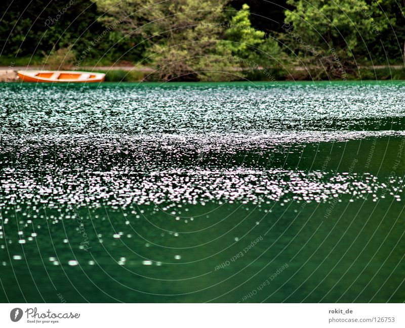 Allgäuer See grün Wasserfahrzeug Ruderboot tief Wellen Seerosen kalt flach kaputt Gebirgssee Wiese Paddel Schifffahrt orange klares wasser boden sehen Bodensee