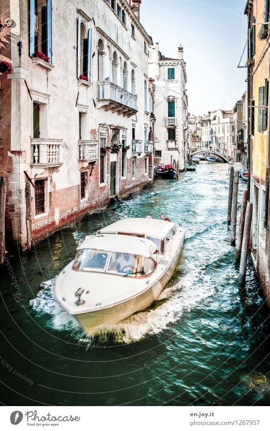 rasant Lifestyle Reichtum Ferien & Urlaub & Reisen Tourismus Ausflug Sightseeing Städtereise Sommer Sommerurlaub Venedig Italien Stadt Altstadt Brücke Gebäude