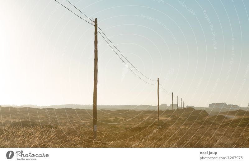 Telegraph Road Landschaft Himmel Wolkenloser Himmel Sonnenlicht Schönes Wetter Buschland Sagres Portugal Linie Telefonmast Denken Kommunizieren träumen wandern