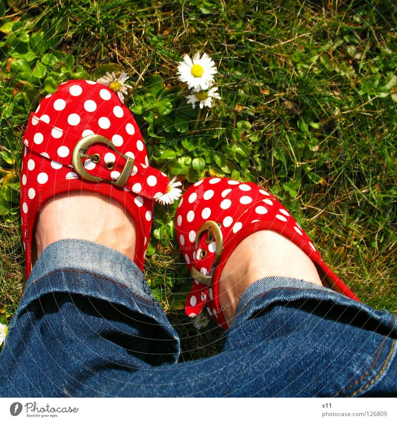 In Her Shoes III Haut Sommer Frau Erwachsene Fuß Natur Pflanze Frühling Blume Gras Blüte Wiese Bekleidung Hose Jeanshose Schuhe blau grün rot weiß gehorsam
