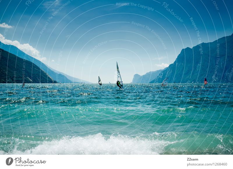 Lago di Garda Lifestyle Freizeit & Hobby Surfen Ferien & Urlaub & Reisen Freiheit Sommer Sommerurlaub Sport Wassersport Natur Landschaft Wolkenloser Himmel