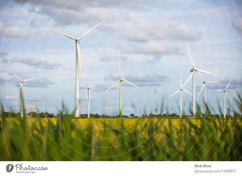Landwirtschaft & Windkraftanlagen Technik & Technologie Wissenschaften Fortschritt Zukunft Energiewirtschaft Erneuerbare Energie Energiekrise Industrie Umwelt