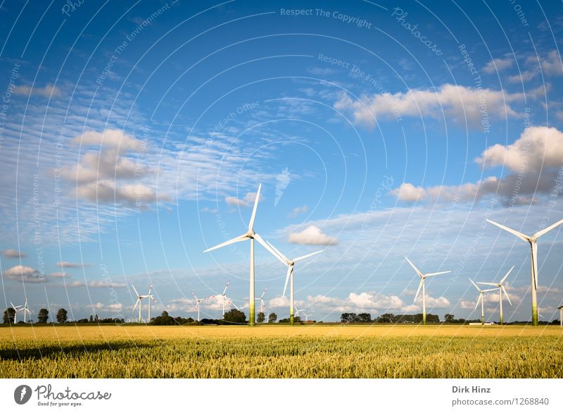 Windkraft und Landwirtschaft Technik & Technologie Wissenschaften Fortschritt Zukunft Energiewirtschaft Erneuerbare Energie Windkraftanlage Energiekrise