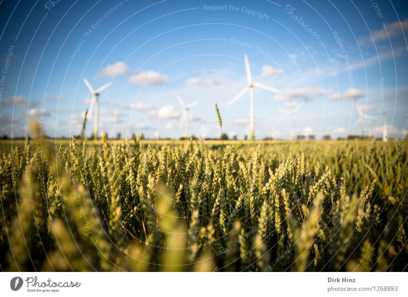 Landwirtschaft & Windkraft Technik & Technologie Wissenschaften Fortschritt Zukunft Energiewirtschaft Erneuerbare Energie Windkraftanlage Energiekrise Industrie