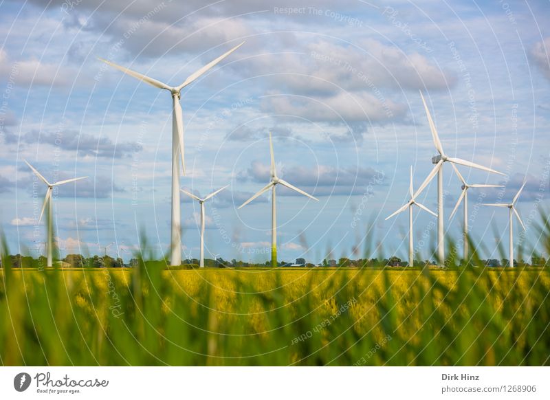 Windpark in Dithmarschen Technik & Technologie Wissenschaften Fortschritt Zukunft Energiewirtschaft Erneuerbare Energie Windkraftanlage Industrie Umwelt Natur