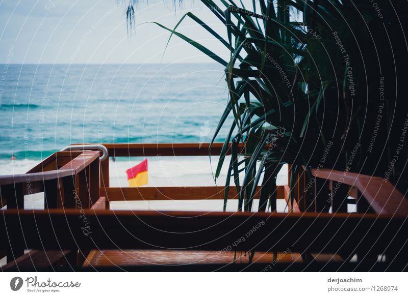 Weg zum Pazifik Strand auf auf einem schöne Holzsteg mit Geländer. Rechts davon ist Farn und im Hintergrund das blaue Meer. Design Wohlgefühl Sommer Natur