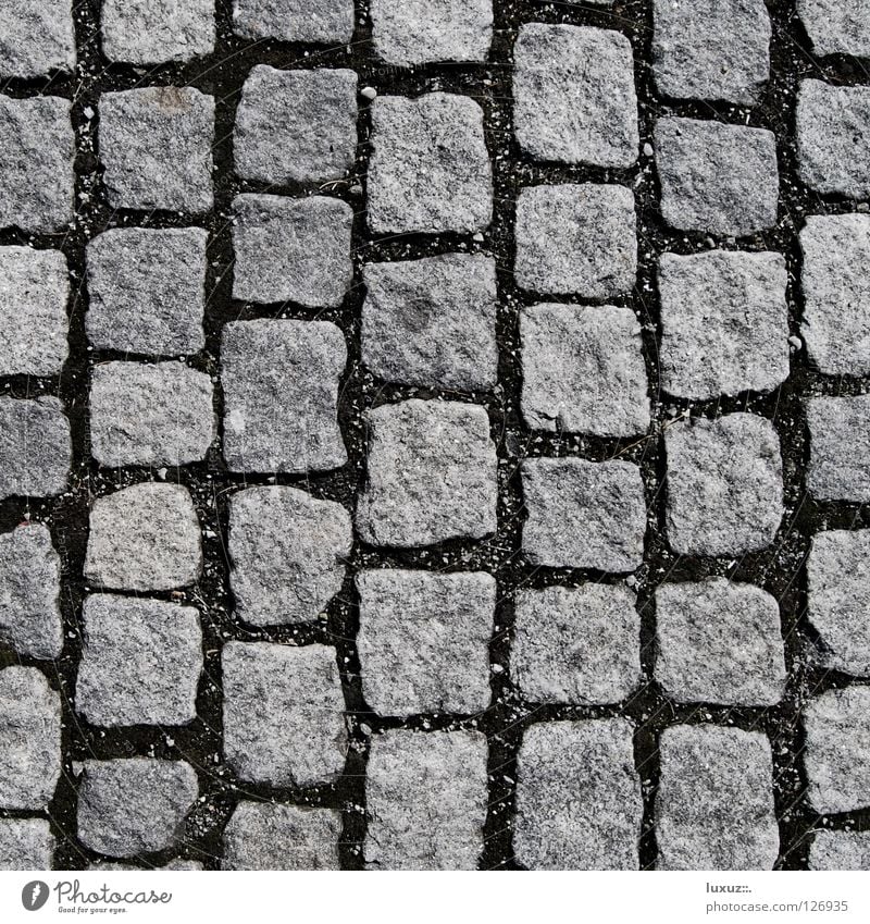 Stein für Stein Kopfsteinpflaster Parkplatz vertikal Strukturen & Formen Quadrat grau Granit hart Naturstein Fußgängerzone Rauchen verboten Mosaik verlegen