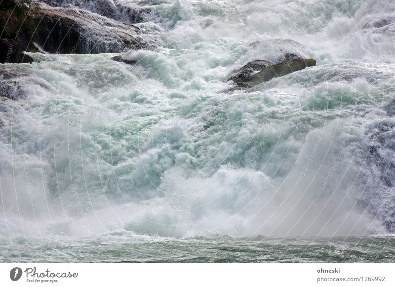 1100 - Energy Urelemente Wasser Fluss Rhein Wasserfall Rheinfall Felsen Schweiz Energie Kraft Umwelt Naturgewalt Farbfoto Außenaufnahme Menschenleer