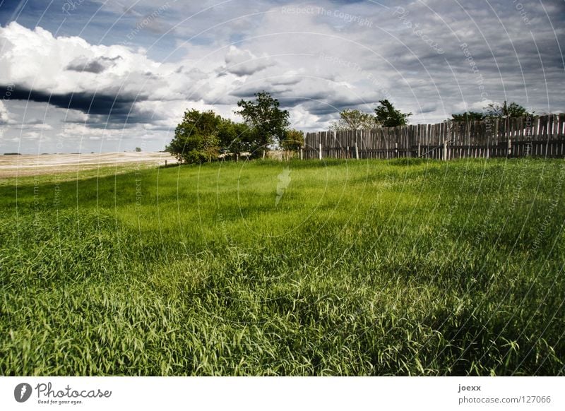 Kraftfelder abgelegen Feld Bauernhof bedrohlich Wolken Kanada dunkel Einsamkeit Gras grau grün Heimat Horizont Idylle intensiv Landwirtschaft Lichtstimmung