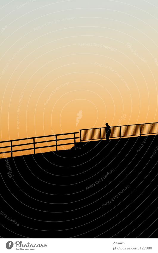 allein auf weiter flur Einsamkeit Mann Sonnenuntergang Physik gehen Leitersprosse schwarz Erholung Freizeit & Hobby Mensch Wärme scharz Silhouette laufen