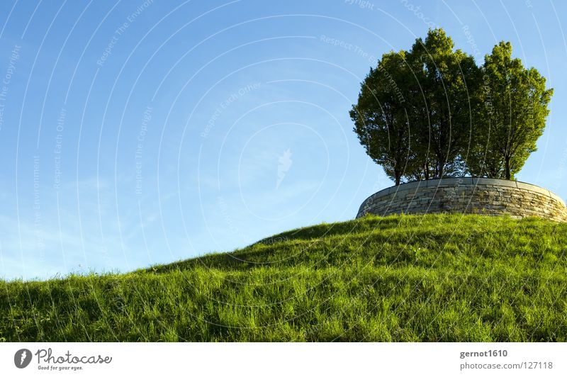 Für Bill Oberfläche Baum Hügel Sommer Hintergrundbild grün Wiese Garten Park Dekoration & Verzierung Windows XP 2003 3.1 95 98 Vista Gate Microsoft Landschaft