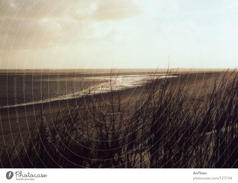 Das Meer kommt Ebbe Ameland dunkel Wolken Strand Küste Flut hell