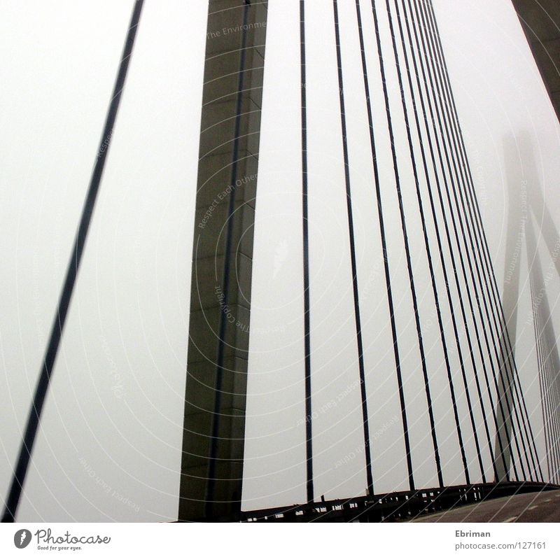 Geisterbrücke Nebel Brücke Säule Straße Leitplanke Stahlkabel grau Beton Wege & Pfade fahren Überqueren Fjord Einsamkeit schlechtes Wetter Seil Linie graphisch