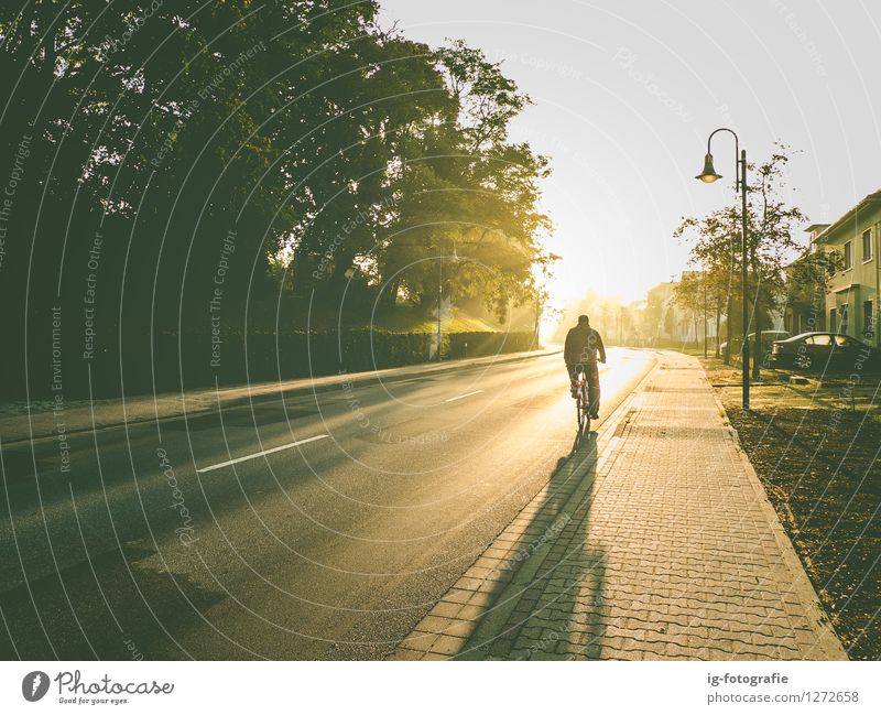 Fahrradfahrt am frühen Morgen im Sonnenaufgang Ferien & Urlaub & Reisen Mensch maskulin Mann Erwachsene 1 Fahrradfahren Straße authentisch Wärme weich Gefühle