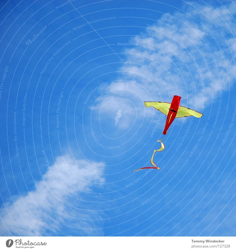 Kite Aerial Photography Drache Flugzeug Lenkdrachen Sturm mehrfarbig Freizeit & Hobby Spielzeug Basteln gebastelt Herbst Drachenfliegen Luft Wolken steigen