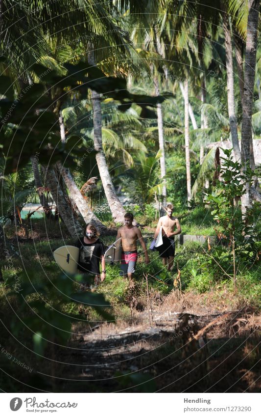 Jungle Surfers Lifestyle Freude Körper Abenteuer Ferne Freiheit Strand Meer Insel Wellen Sport Wassersport Surfen Mensch maskulin Junger Mann Jugendliche Haut