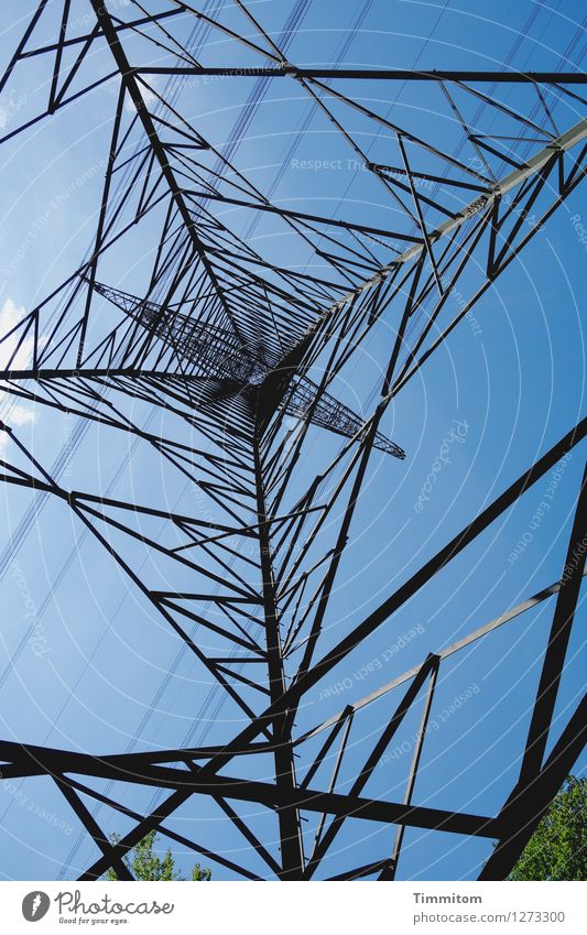 Verbindungen. Energiewirtschaft Himmel Wolken Baum Strommast Elektrizität Metall Linie hoch oben blau grün schwarz deutlich ästhetisch Farbfoto Außenaufnahme