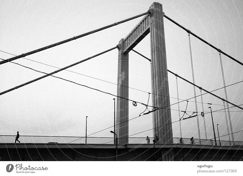 The Bridge Budapest Brücke bridge walk wires black white concrete
