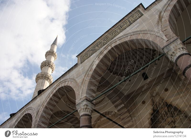 Der Blick zu Gott (Allah) Kultur Wolken Sonne Winter Istanbul Türkei Europa Hauptstadt Altstadt Kirche entdecken Ferien & Urlaub & Reisen ästhetisch achtsam