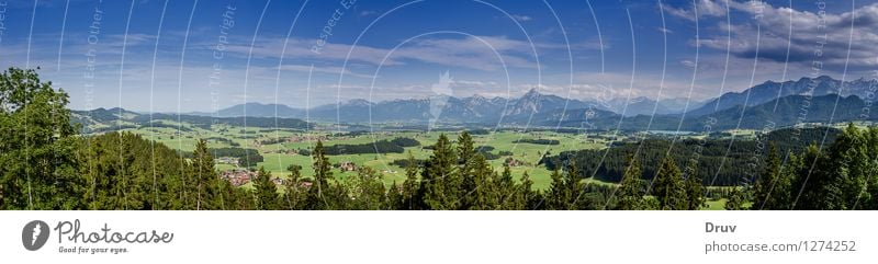 Alpenpanorama Ferien & Urlaub & Reisen Tourismus Ausflug Sightseeing Sommer Sommerurlaub Natur Landschaft Pflanze Himmel Wolken Wald Berge u. Gebirge Gipfel