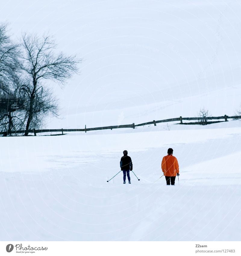 freizeitbetätigung Winter kalt Skilanglauf Stock Kind Baum weiß fahren Freizeit & Hobby Ferien & Urlaub & Reisen Südtirol Spuren Loipe Zaun Mensch
