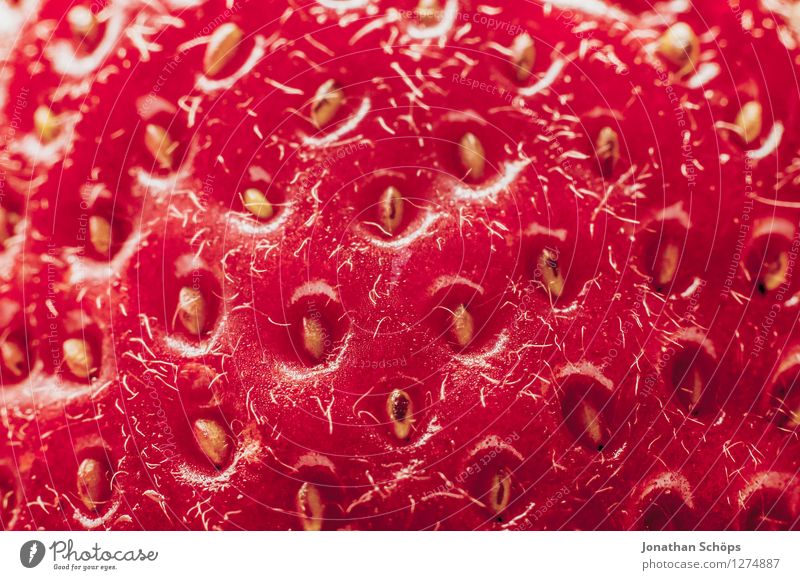 Die Erdbeere II Lebensmittel Frucht Ernährung Essen Frühstück Bioprodukte Vegetarische Ernährung Gesundheit Gesunde Ernährung genießen ästhetisch lecker Speise