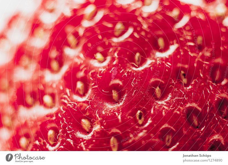Die Erdbeere IV Lebensmittel Frucht Ernährung Essen Frühstück Bioprodukte Vegetarische Ernährung Gesundheit Gesunde Ernährung genießen ästhetisch lecker Speise