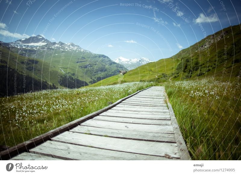 Svizzera Umwelt Natur Landschaft Himmel Schönes Wetter Wiese Berge u. Gebirge natürlich blau grün Fußweg Steg Tourismus Schweiz Farbfoto mehrfarbig