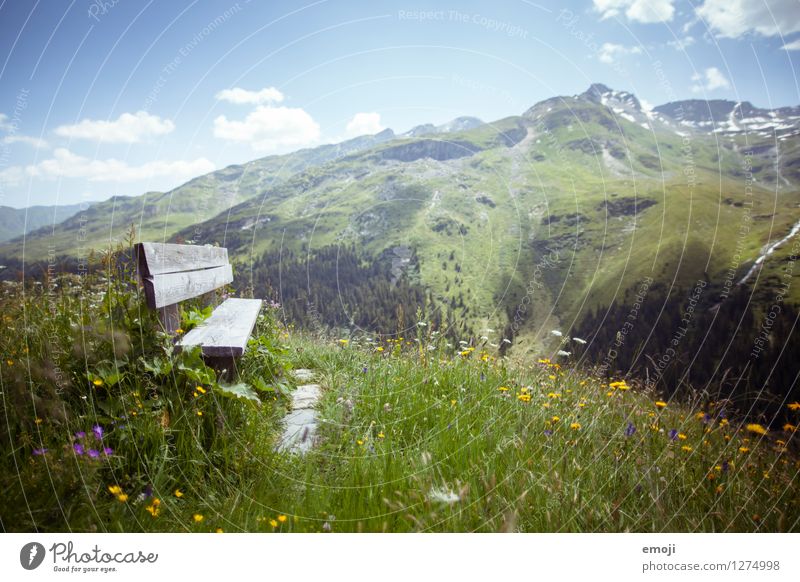 PAUSE Umwelt Natur Landschaft Pflanze Frühling Sommer Schönes Wetter Wiese Hügel Alpen Berge u. Gebirge natürlich grün Bank Rastplatz Schweiz Tourismus