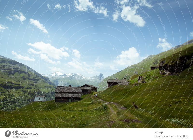 Postkarte Umwelt Natur Landschaft Himmel Sommer Schönes Wetter Hügel Alpen Berge u. Gebirge natürlich blau grün Tourismus Wandertag Schweiz Vals Farbfoto