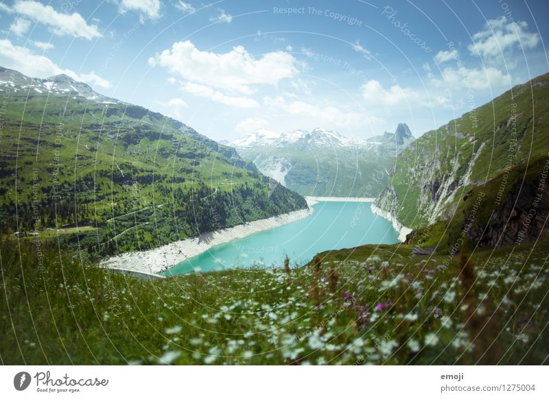 Stausee Umwelt Natur Landschaft Sommer Schönes Wetter Feld Hügel Alpen Berge u. Gebirge Bach nachhaltig natürlich grün türkis Schweiz Ausflugsziel Vals