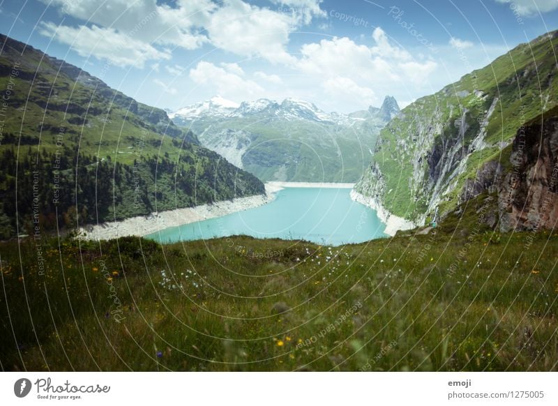 swissness Umwelt Natur Landschaft Sommer Wiese Hügel Alpen Berge u. Gebirge See außergewöhnlich natürlich türkis Stausee gletschersee gletscherwasser Schweiz