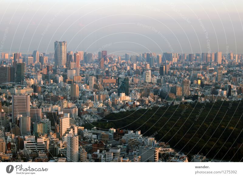 Skyline von Tokyo mit Park – Abendstimmung Japan Ferne Sightseeing Städtereise Himmel Horizont Sonnenlicht Schönes Wetter Garten Wald Asien Hauptstadt