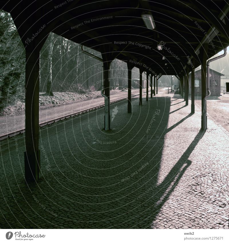 Zug verpasst Bahnhof Bauwerk dunkel Bahnsteig Kopfsteinpflaster Farbfoto Gedeckte Farben Außenaufnahme Detailaufnahme Menschenleer Textfreiraum links