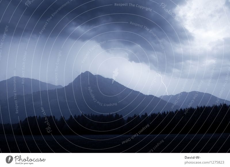 Unwetter in den Bergen Umwelt Natur Landschaft Himmel Wolken Gewitterwolken Herbst Wetter schlechtes Wetter Wind Regen Blitze Wald Alpen Berge u. Gebirge Gipfel