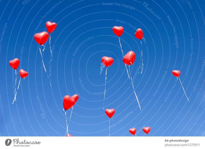 Balloon hearts in the sky Feste & Feiern Valentinstag Muttertag Hochzeit Geburtstag Zeichen Herz fliegen Liebe Gefühle Zusammensein Verliebtheit Romantik