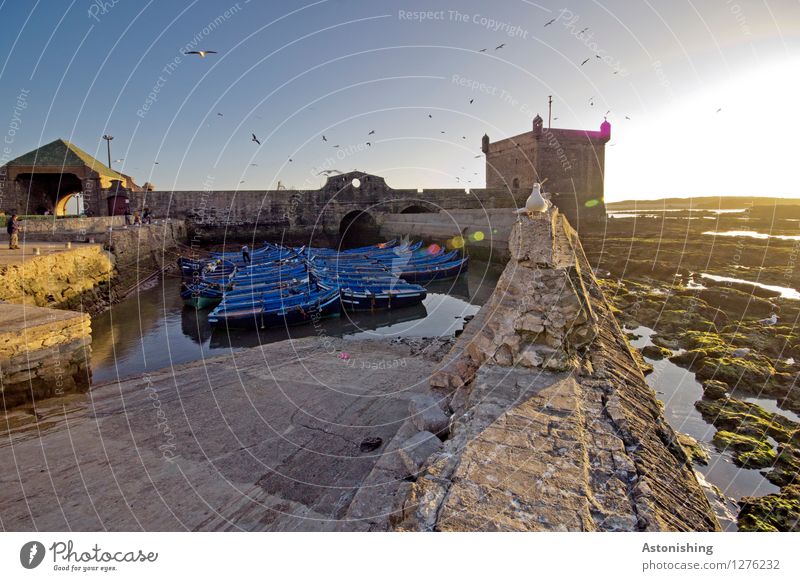 Abend in Essaouira Mensch Umwelt Natur Wasser Himmel Wolkenloser Himmel Sonne Sonnenaufgang Sonnenuntergang Wetter Schönes Wetter Marokko Kleinstadt Stadt