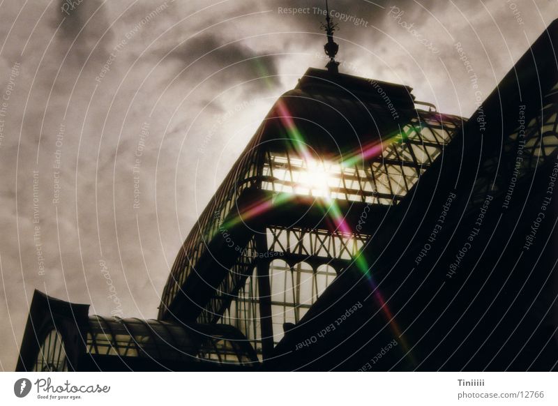 Palacio de Cristal im Gegenlicht Madrid Gewächshaus Lichtbrechung Stimmung Europa