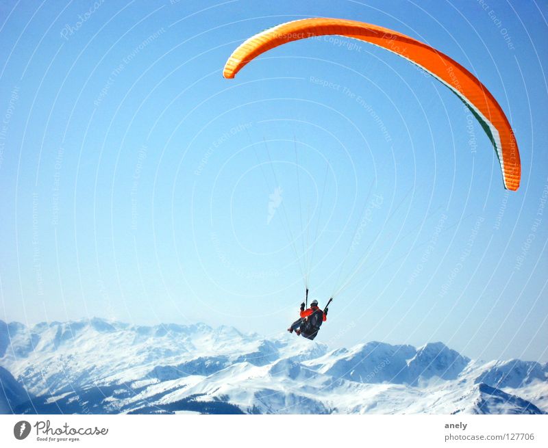Höhenflug Gleitschirmfliegen Fallschirm Winter Panorama (Aussicht) Gipfel gleiten Österreich Luft fantastisch Freude Extremsport Berge u. Gebirge Freiheit