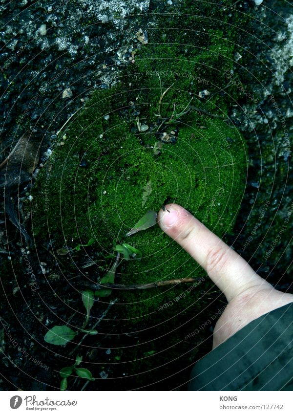 moosfingern Finger Hand Intuition Tippen drücken berühren grün Moos Wachstum Pflanze Zeigefinger entdecken Konzentration Erde Sand Kleinkind Gefühle befingern