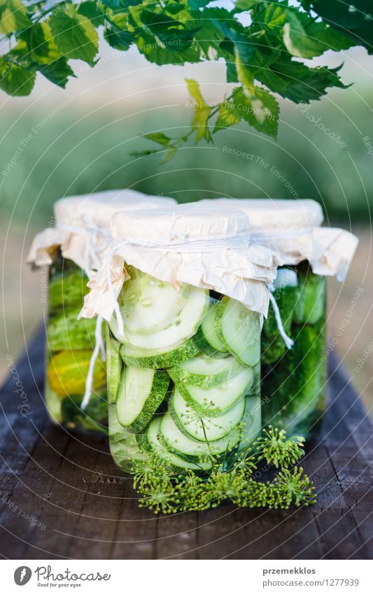 Eingelegte Gurken mit Hausgarten Gemüse und Kräutern Kräuter & Gewürze Vegetarische Ernährung Garten Blatt frisch natürlich grün Bank konserviert Salatgurke
