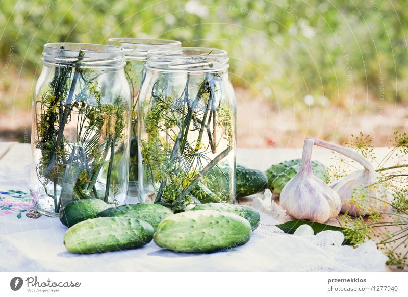 Vorbereiten der Bestandteile für in Essig einlegende Gurken Gemüse Kräuter & Gewürze Vegetarische Ernährung Garten frisch natürlich grün konserviert Salatgurke