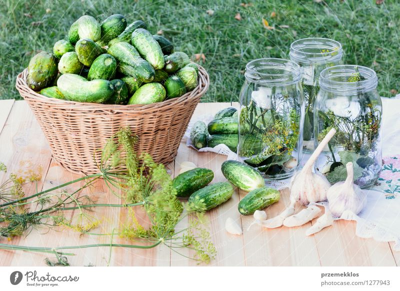 Vorbereiten der Bestandteile für in Essig einlegende Gurken Gemüse Kräuter & Gewürze Vegetarische Ernährung Garten frisch natürlich grün Korb konserviert