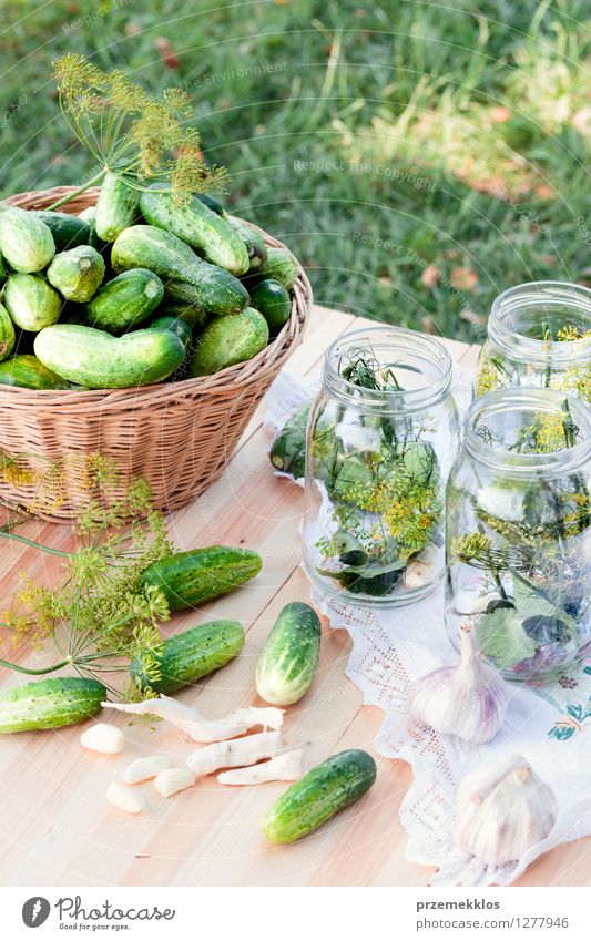 Vorbereiten der Bestandteile für in Essig einlegende Gurken Gemüse Kräuter & Gewürze Vegetarische Ernährung Garten frisch natürlich grün Korb konserviert