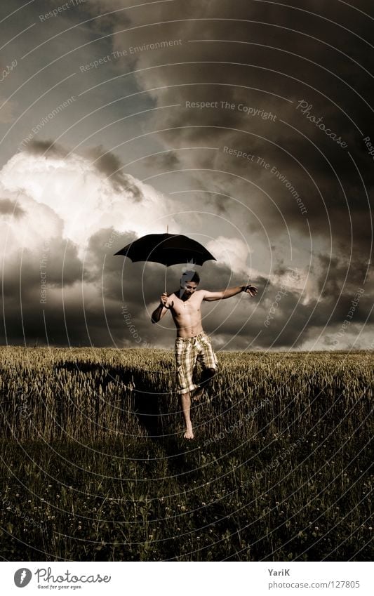 regenmacher Gras Weizen Blatt Horizont grau braun gelb dunkel schwarz Zufriedenheit Mann Oberkörper Barfuß Hose Shorts Leidenschaft Wind Regenschirm Schweben