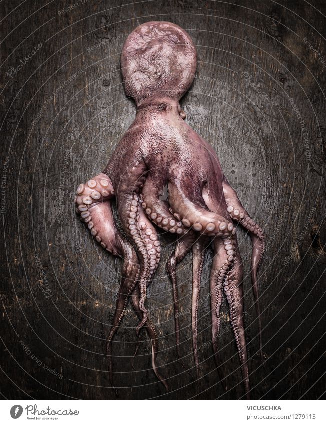 Octopus auf dunklem Holztisch Lebensmittel Meeresfrüchte Ernährung Bioprodukte Vegetarische Ernährung Diät Stil Design Gesunde Ernährung Tisch Küche raw Protein