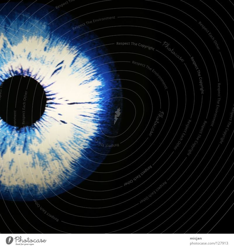 Behind her Eyes Augenfarbe rund Geometrie schwarz dunkel geheimnisvoll Organ Sinnesorgane blind Pupille graphisch einzigartig Biometrie Konzentration