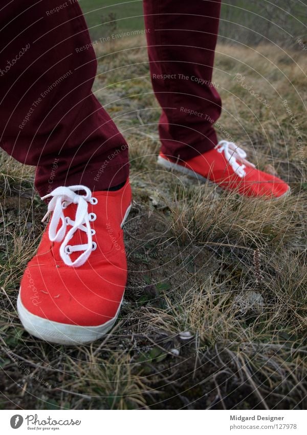 Rot Winter wandern Mensch Junge Frau Jugendliche Leben Beine Fuß 1 18-30 Jahre Erwachsene Gras Hose Schuhe Bewegung gehen laufen rot Farbe schreiten Raureif