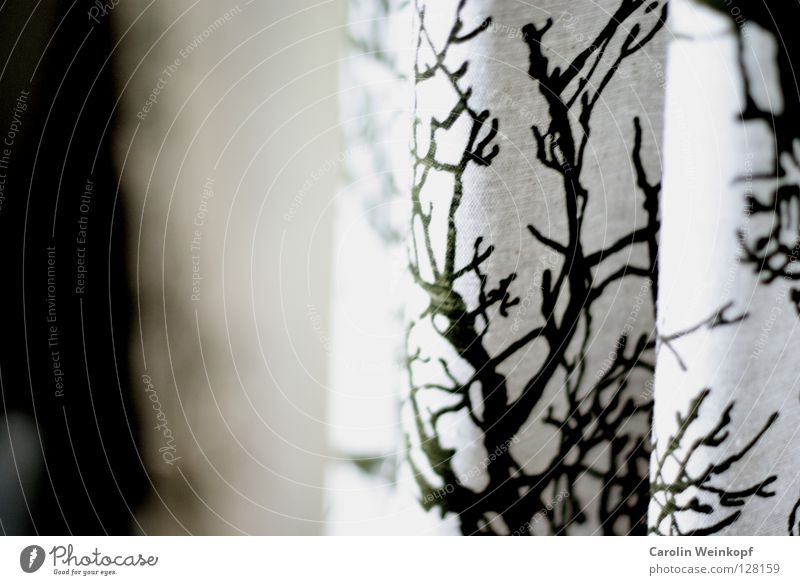 Natur im Flur. Baum Vorhang Gardine grün weiß Stoff hängen Licht Aufdruck Druckerzeugnisse Falte Schatten