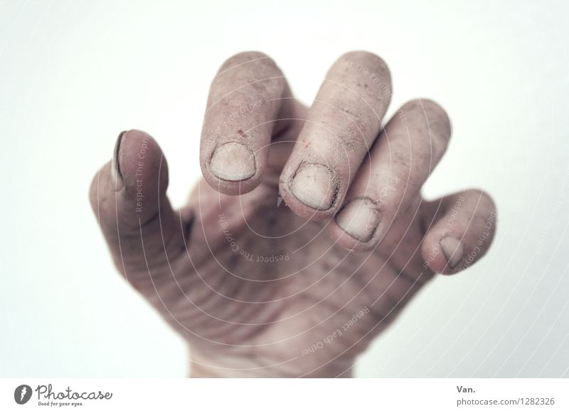 Arbeiterhand Hand Finger 30-45 Jahre Erwachsene Erde braun dreckig Fingernagel Arbeit & Erwerbstätigkeit Farbfoto Gedeckte Farben Nahaufnahme Textfreiraum oben